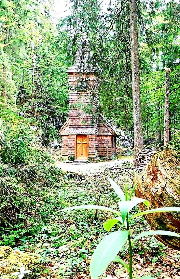 Tauglerei Appartement Bernstein In Den Zauberbergen Sankt Koloman Zewnętrze zdjęcie