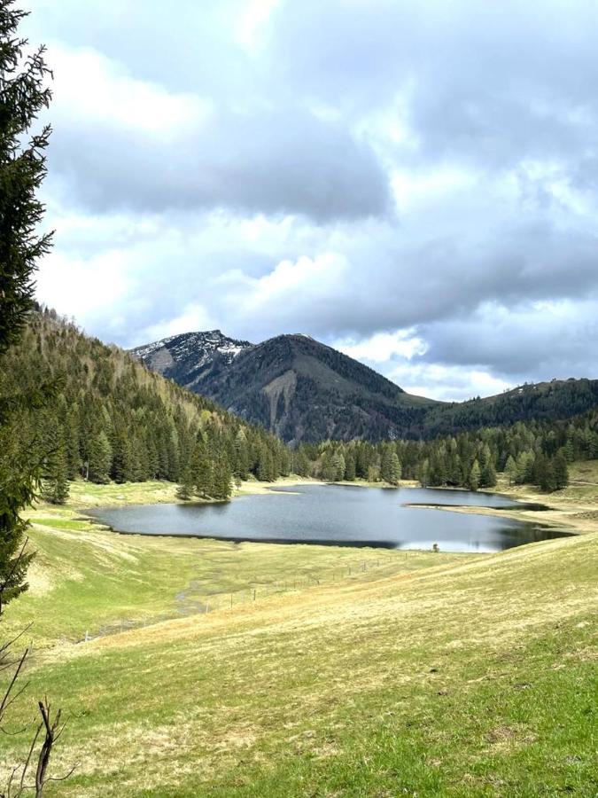 Tauglerei Appartement Bernstein In Den Zauberbergen Sankt Koloman Zewnętrze zdjęcie